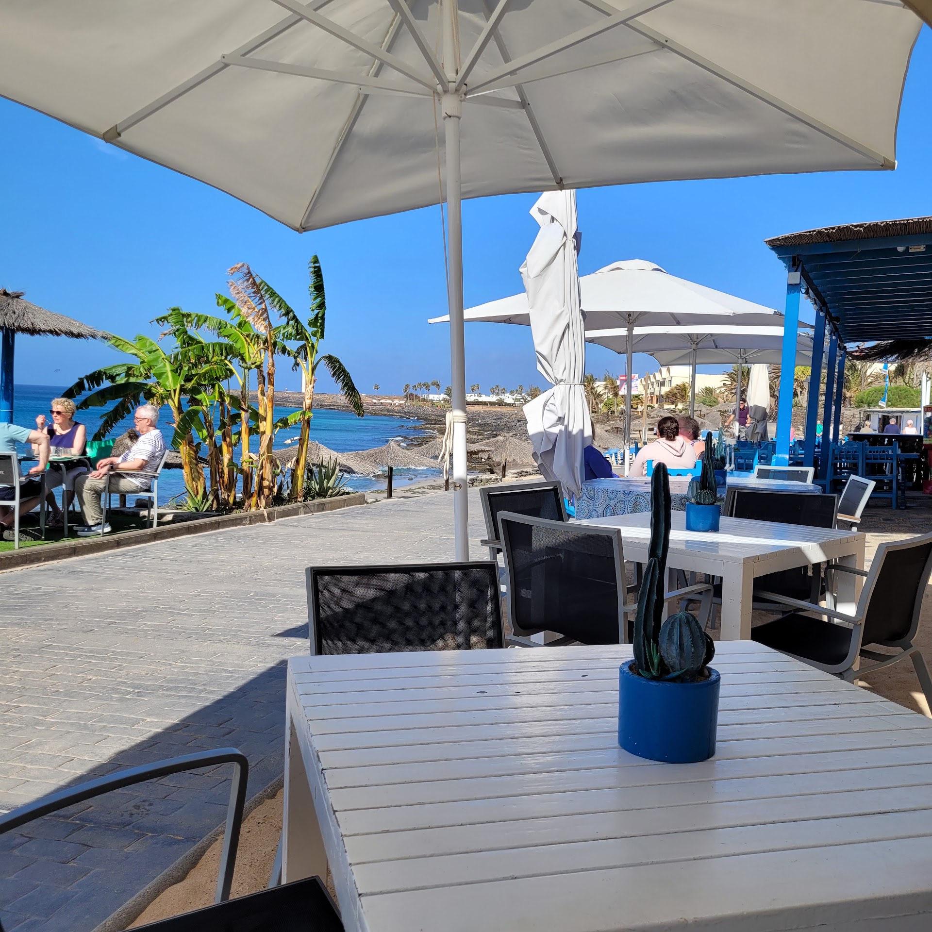 Chiringuito Bar Tropical