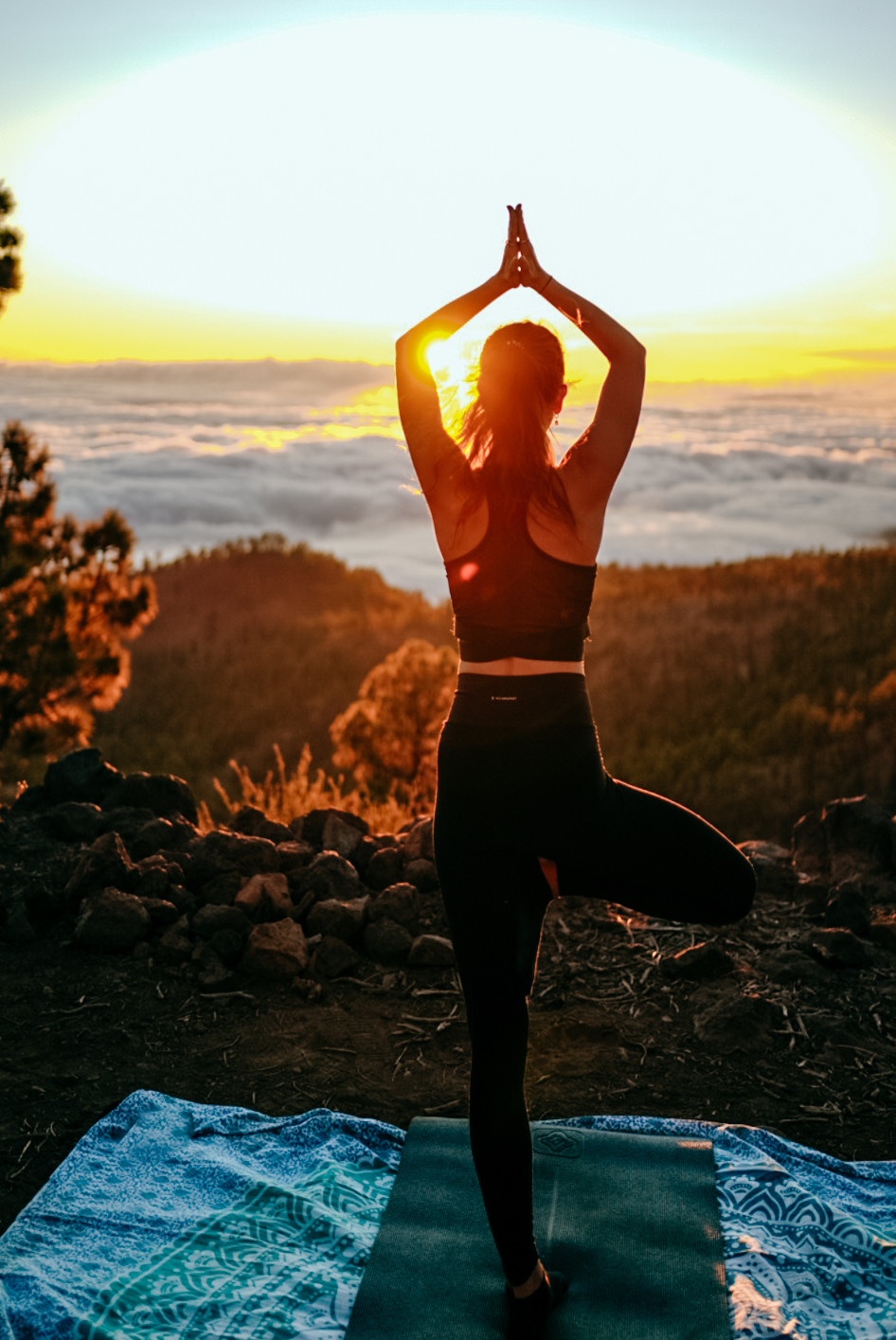 Bliss Yoga Retreats