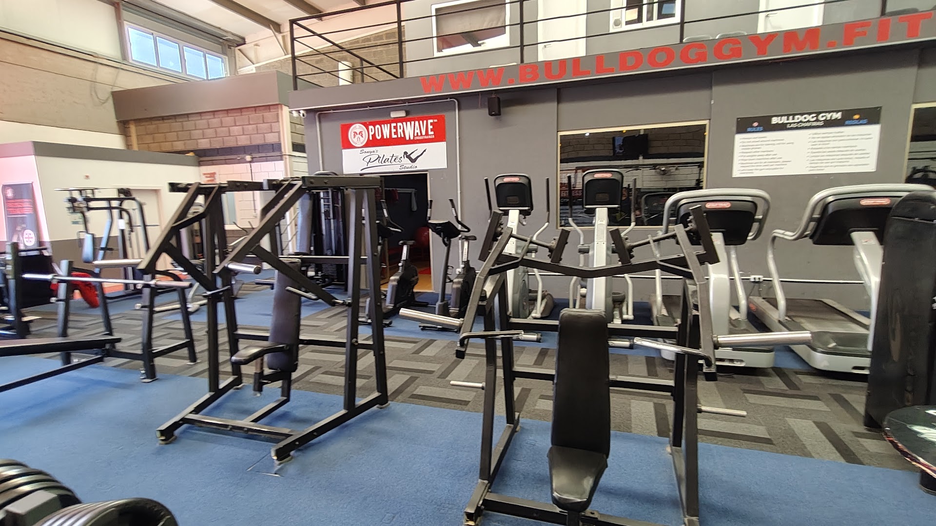 Bulldog Gym